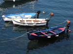 SX19524 Boats in harbour of Riomaggiore, Cinque Terre, Italy.jpg